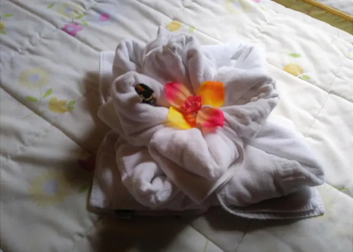 Bella Vista グラナディージャ・デ・アボナ